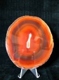 CARNELIAN DISC(145gr/12.5cm)