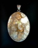 FOSSIL CORAL PENDANT (14gr/4cm)