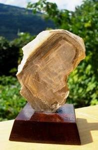 STONE OF SAVOIE ( 80 gr/6 cm)