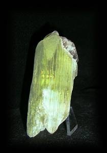 HIDDENITE(76gr/7cm)