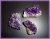 AMETHYSTE CRYSTALS ( 90 gr/3)