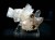 QUARTZ CRYSTAL SAVOIE ( 65gr/6.5cm)