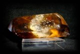 SMOKED BI-TERMINATED CITRINE(50gr/7cm)