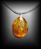 AMBER PENDANT ( 8gr/3.2cm)