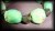 CHRYSOPRASE+PYRIT BRACELET ( 30 gr/elastic)