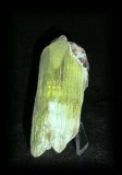 HIDDENITE (76gr/7cm)