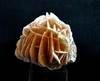 Rose des sables